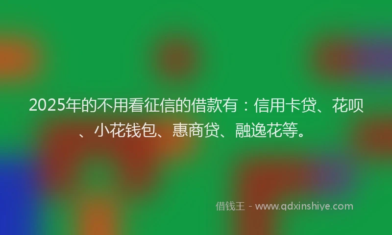 2025年的不用看征信的借款有：信用卡贷、花呗、小花钱包、惠商贷、融逸花等。