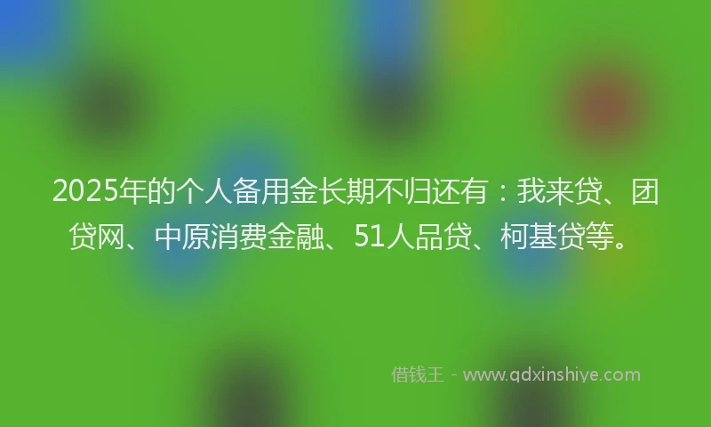2025年的个人备用金长期不归还有：我来贷、团贷网、中原消费金融、51人品贷、柯基贷等。