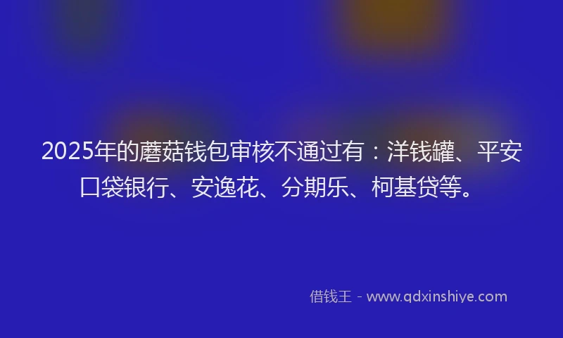 2025年的蘑菇钱包审核不通过有：洋钱罐、平安口袋银行、安逸花、分期乐、柯基贷等。