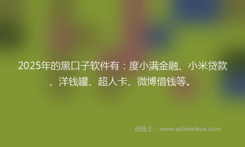 2025年的黑口子软件有：度小满金融、小米贷款、洋钱罐、超人卡、微博借钱等。