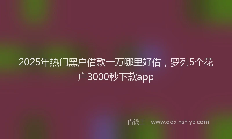 2025年热门黑户借款一万哪里好借，罗列5个花户3000秒下款app