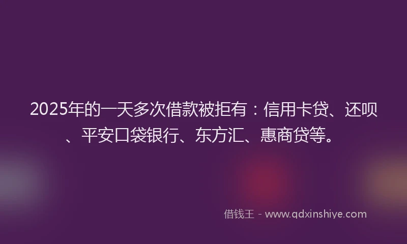 2025年的一天多次借款被拒有：信用卡贷、还呗、平安口袋银行、东方汇、惠商贷等。