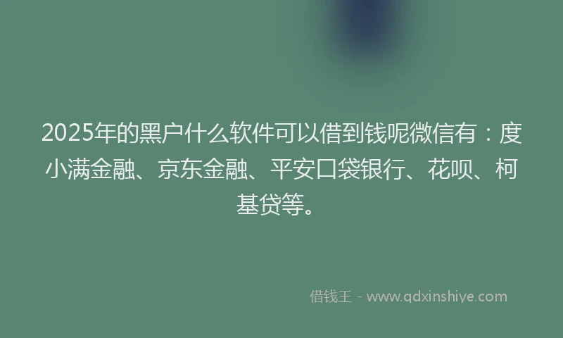 2025年的黑户什么软件可以借到钱呢微信有：度小满金融、京东金融、平安口袋银行、花呗、柯基贷等。