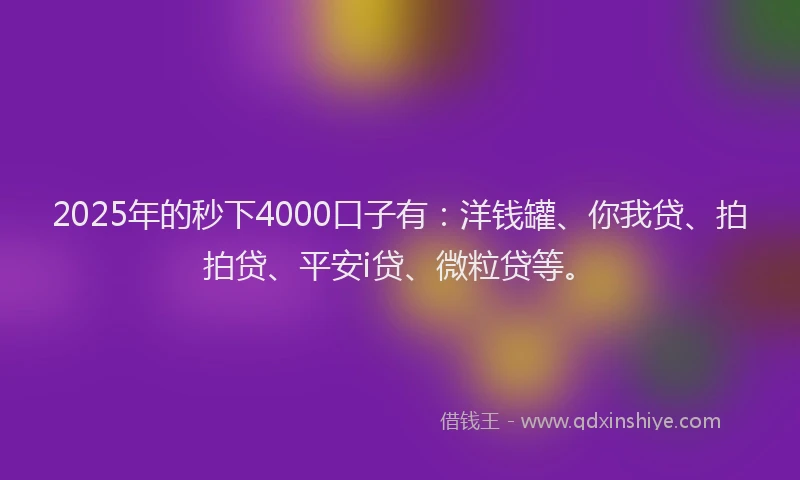 2025年的秒下4000口子有：洋钱罐、你我贷、拍拍贷、平安i贷、微粒贷等。