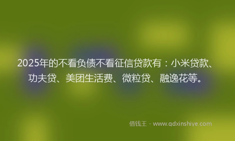 2025年的不看负债不看征信贷款有：小米贷款、功夫贷、美团生活费、微粒贷、融逸花等。