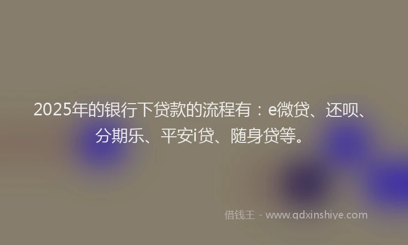 2025年的银行下贷款的流程有：e微贷、还呗、分期乐、平安i贷、随身贷等。