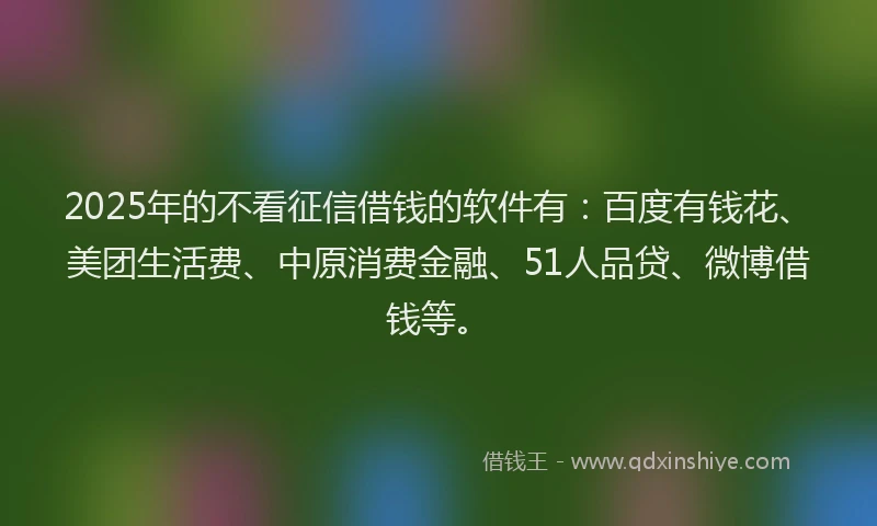 2025年的不看征信借钱的软件有：百度有钱花、美团生活费、中原消费金融、51人品贷、微博借钱等。