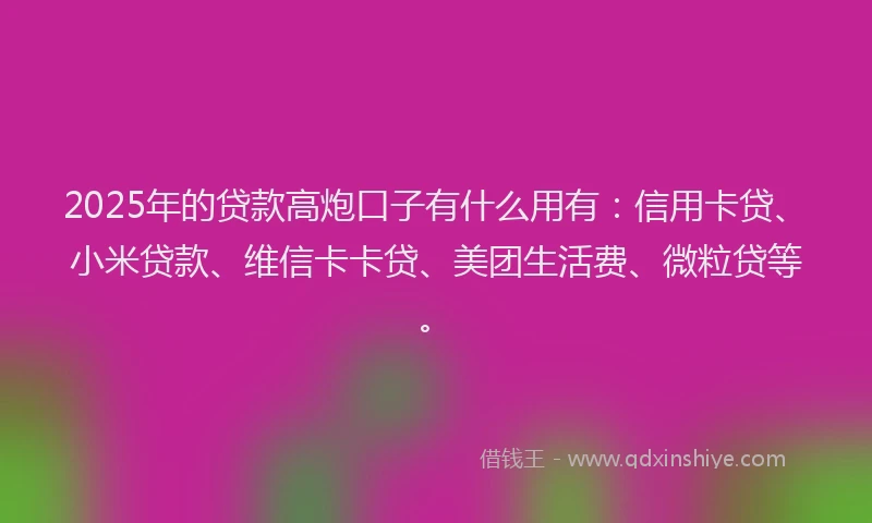 2025年的贷款高炮口子有什么用有：信用卡贷、小米贷款、维信卡卡贷、美团生活费、微粒贷等。