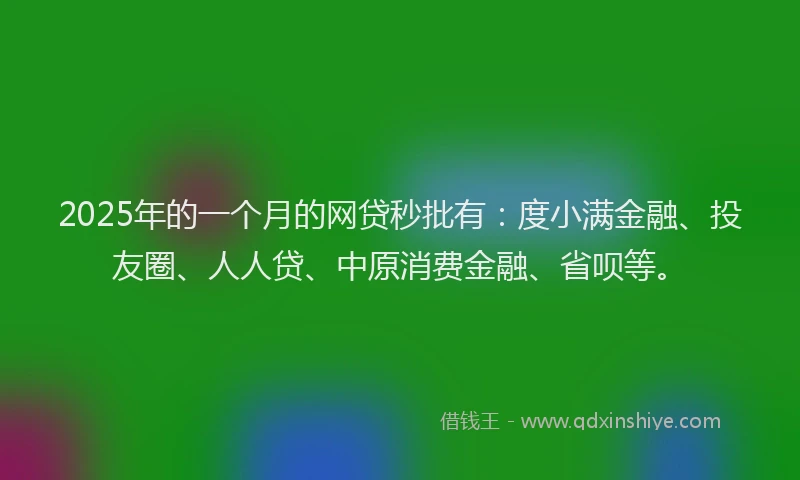 2025年的一个月的网贷秒批有：度小满金融、投友圈、人人贷、中原消费金融、省呗等。