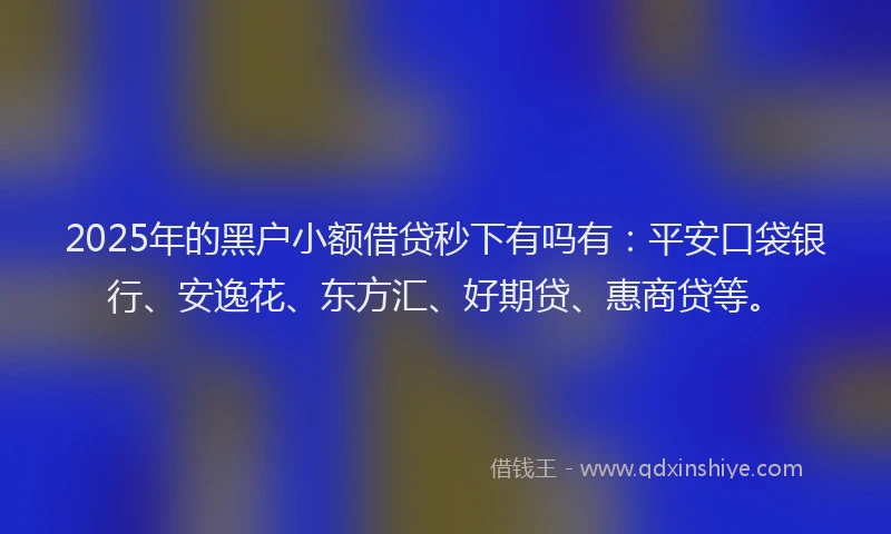 2025年的黑户小额借贷秒下有吗有：平安口袋银行、安逸花、东方汇、好期贷、惠商贷等。