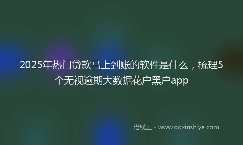 2025年热门贷款马上到账的软件是什么，梳理5个无视逾期大数据花户黑户app