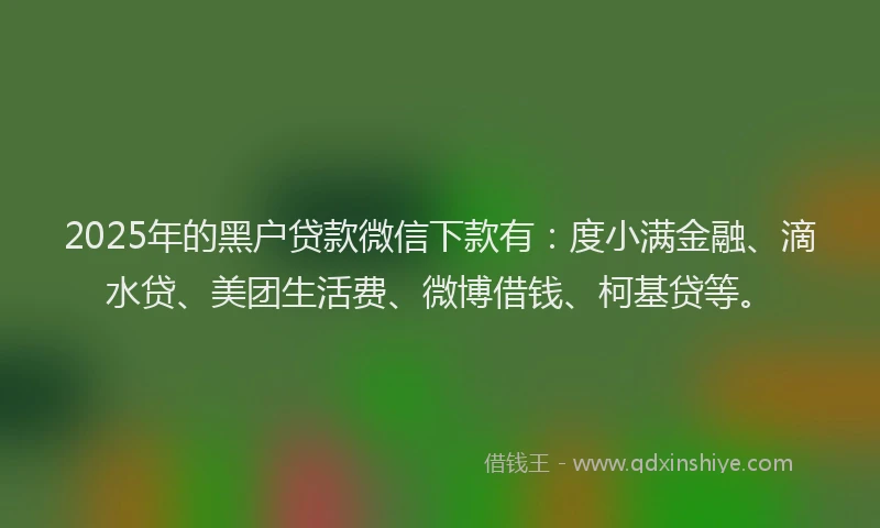 2025年的黑户贷款微信下款有：度小满金融、滴水贷、美团生活费、微博借钱、柯基贷等。