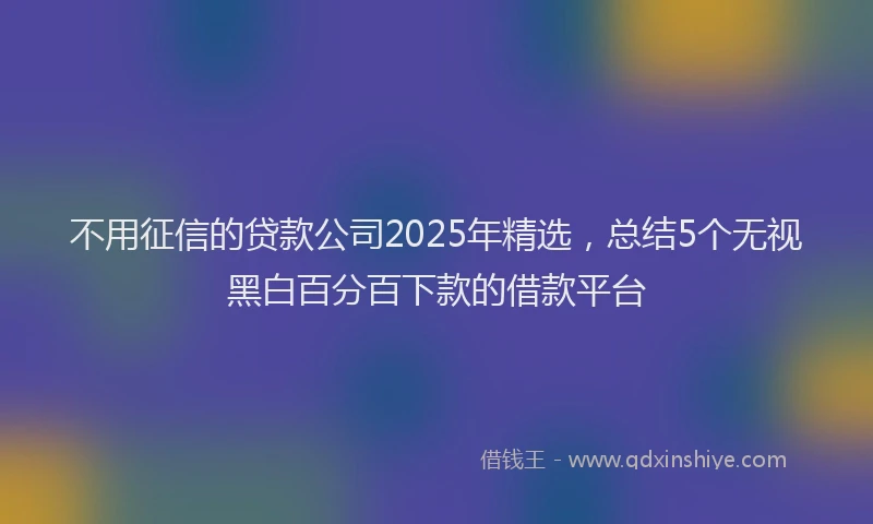 不用征信的贷款公司2025年精选，总结5个无视黑白百分百下款的借款平台