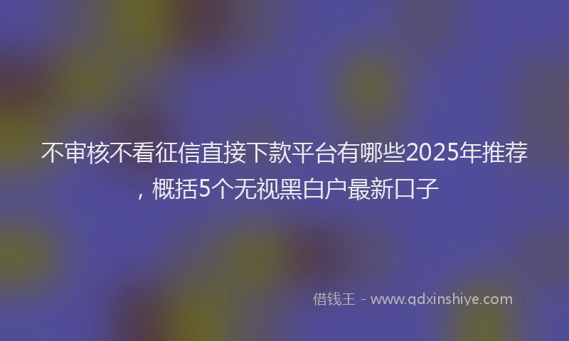 不审核不看征信直接下款平台有哪些2025年推荐，概括5个无视黑白户最新口子