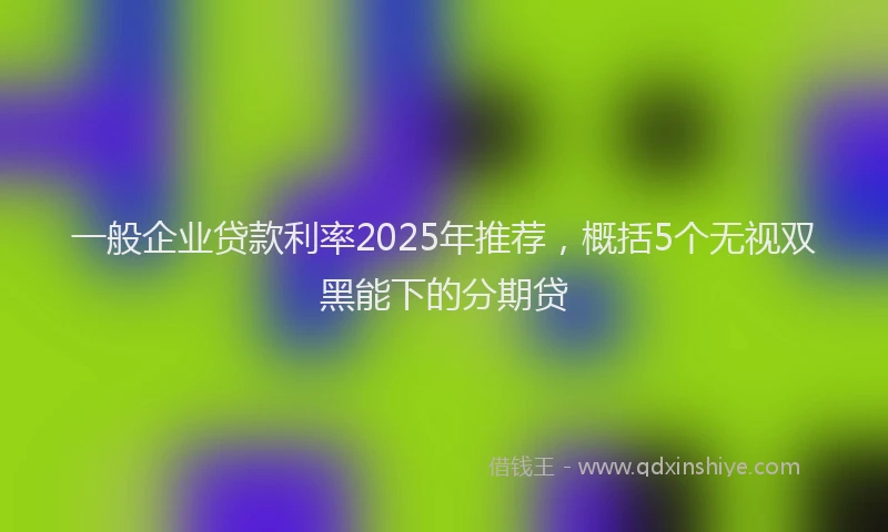 一般企业贷款利率2025年推荐，概括5个无视双黑能下的分期贷