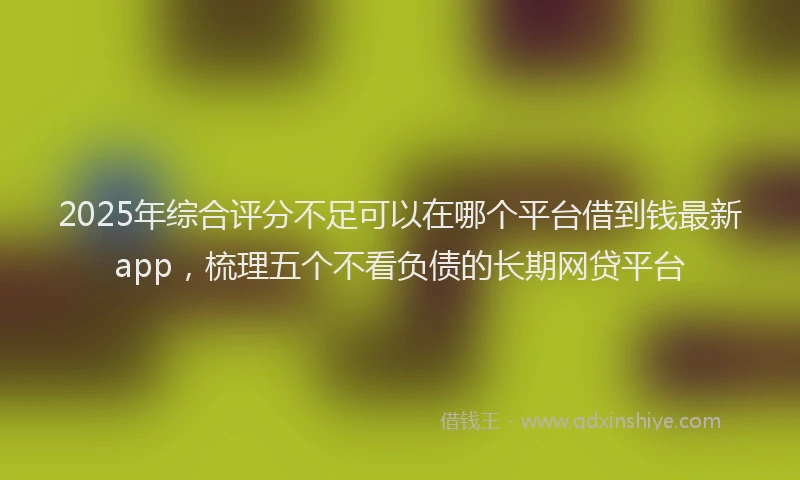 2025年综合评分不足可以在哪个平台借到钱最新app，梳理五个不看负债的长期网贷平台
