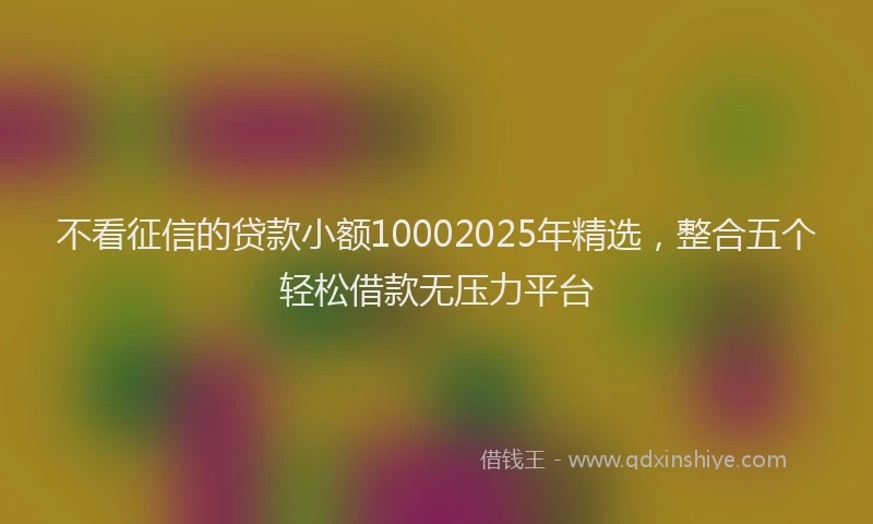 不看征信的贷款小额10002025年精选，整合五个轻松借款无压力平台