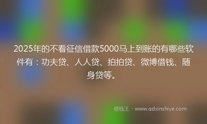 2025年的不看征信借款5000马上到账的有哪些软件有：功夫贷、人人贷、拍拍贷、微博借钱、随身贷等。