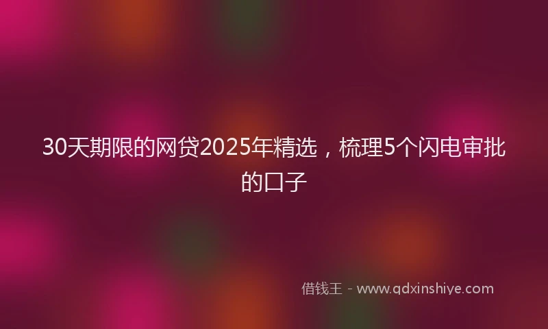 30天期限的网贷2025年精选，梳理5个闪电审批的口子