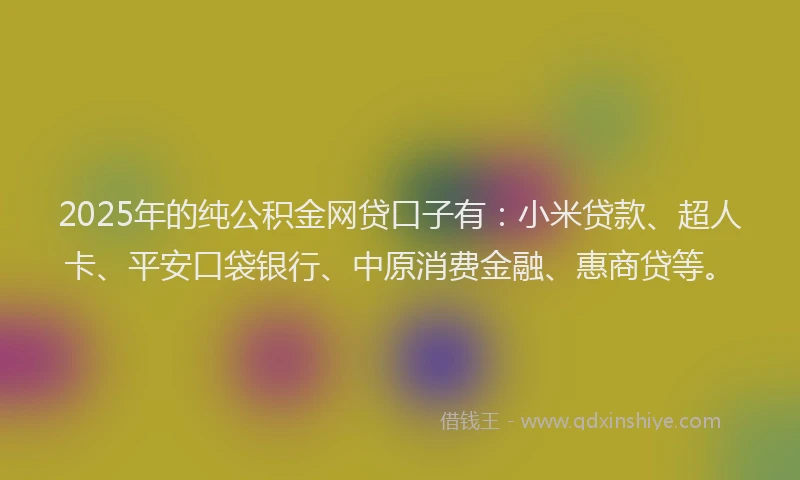 2025年的纯公积金网贷口子有：小米贷款、超人卡、平安口袋银行、中原消费金融、惠商贷等。