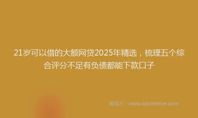 21岁可以借的大额网贷2025年精选，梳理五个综合评分不足有负债都能下款口子