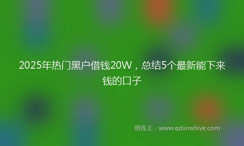 2025年热门黑户借钱20W，总结5个最新能下来钱的口子