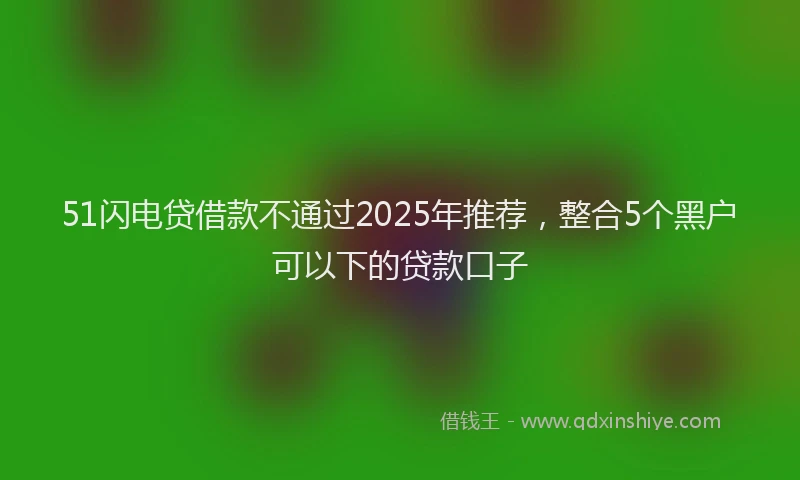 51闪电贷借款不通过2025年推荐，整合5个黑户可以下的贷款口子