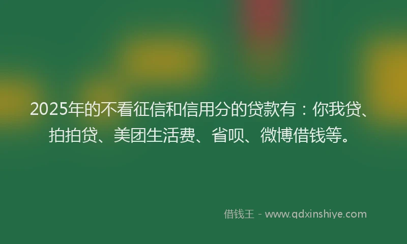 2025年的不看征信和信用分的贷款有：你我贷、拍拍贷、美团生活费、省呗、微博借钱等。