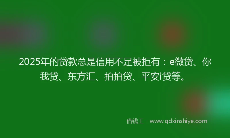 2025年的贷款总是信用不足被拒有：e微贷、你我贷、东方汇、拍拍贷、平安i贷等。