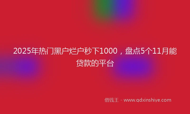 2025年热门黑户烂户秒下1000，盘点5个11月能贷款的平台