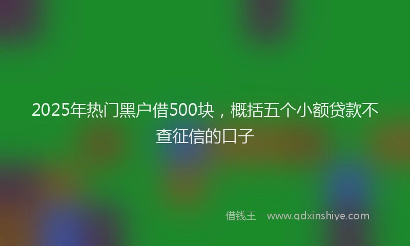 2025年热门黑户借500块，概括五个小额贷款不查征信的口子