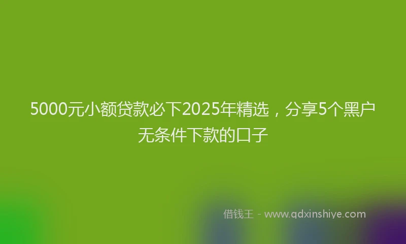 5000元小额贷款必下2025年精选，分享5个黑户无条件下款的口子