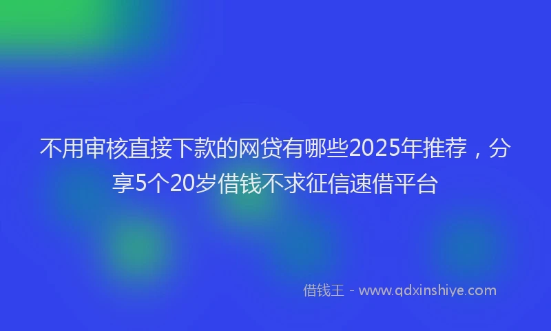 不用审核直接下款的网贷有哪些2025年推荐，分享5个20岁借钱不求征信速借平台