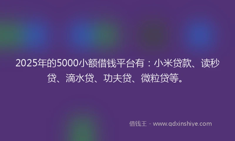 2025年的5000小额借钱平台有：小米贷款、读秒贷、滴水贷、功夫贷、微粒贷等。