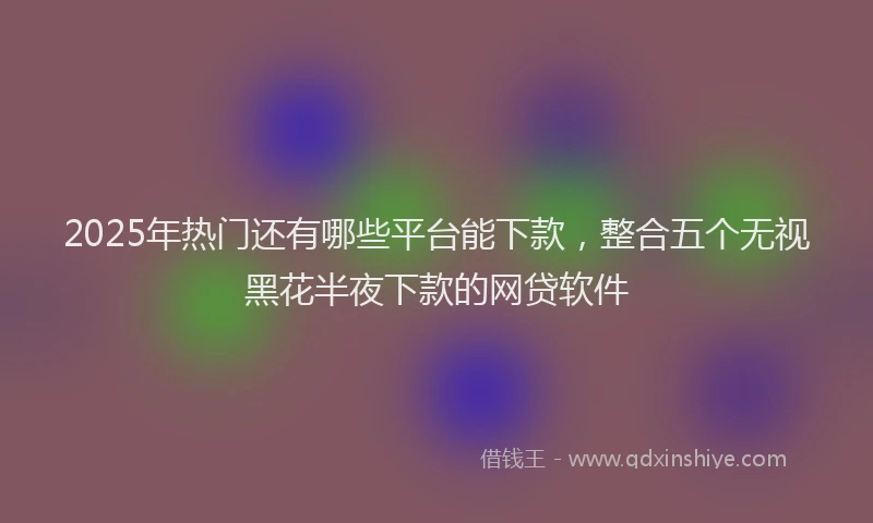 2025年热门还有哪些平台能下款，整合五个无视黑花半夜下款的网贷软件