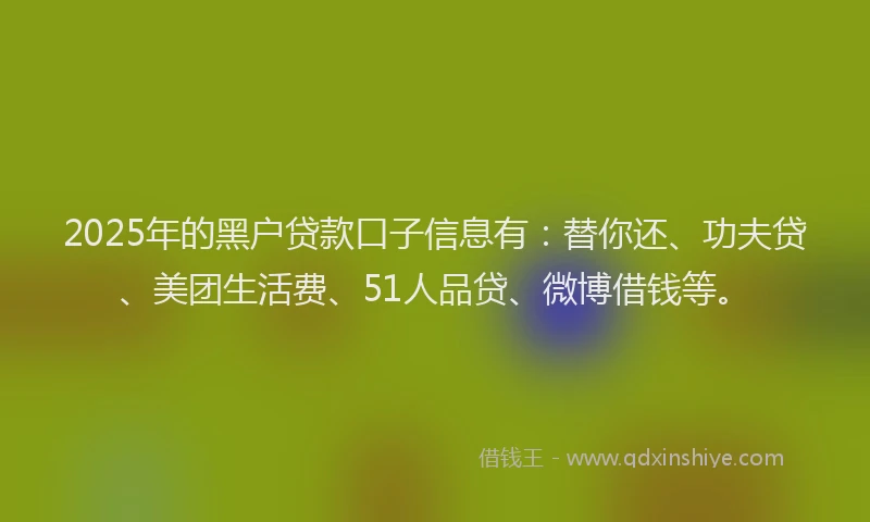 2025年的黑户贷款口子信息有：替你还、功夫贷、美团生活费、51人品贷、微博借钱等。