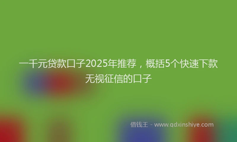 一千元贷款口子2025年推荐，概括5个快速下款无视征信的口子