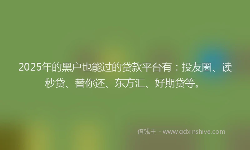 2025年的黑户也能过的贷款平台有：投友圈、读秒贷、替你还、东方汇、好期贷等。