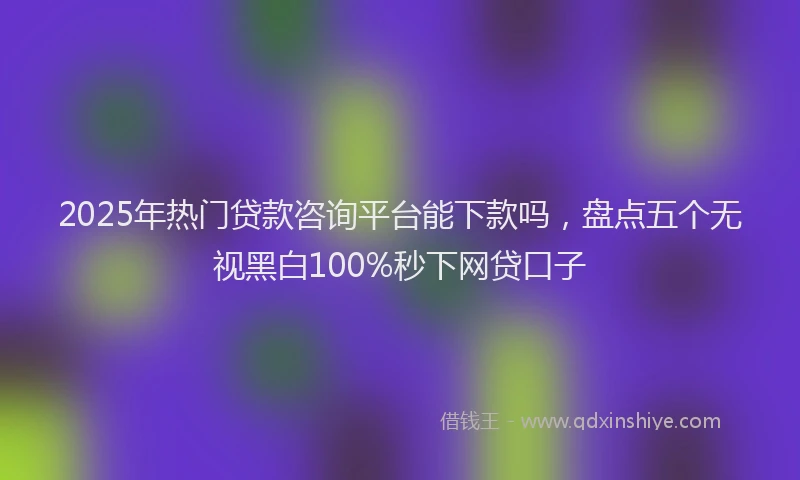 2025年热门贷款咨询平台能下款吗，盘点五个无视黑白100%秒下网贷口子