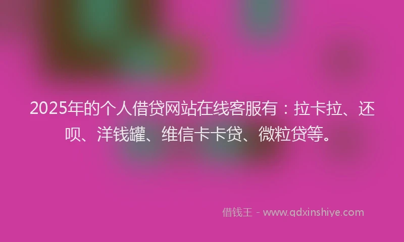 2025年的个人借贷网站在线客服有：拉卡拉、还呗、洋钱罐、维信卡卡贷、微粒贷等。