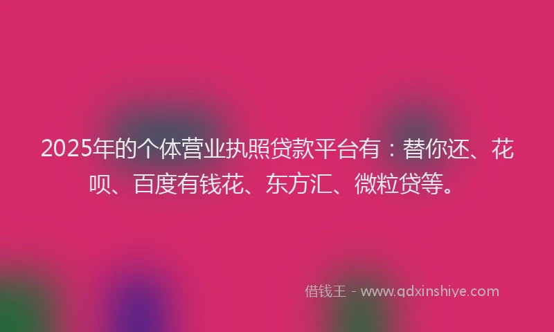 2025年的个体营业执照贷款平台有：替你还、花呗、百度有钱花、东方汇、微粒贷等。