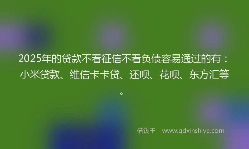 2025年的贷款不看征信不看负债容易通过的有：小米贷款、维信卡卡贷、还呗、花呗、东方汇等。