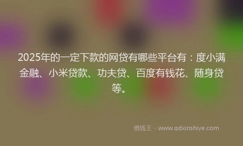 2025年的一定下款的网贷有哪些平台有：度小满金融、小米贷款、功夫贷、百度有钱花、随身贷等。