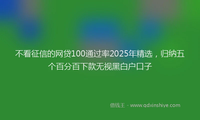 不看征信的网贷100通过率2025年精选，归纳五个百分百下款无视黑白户口子