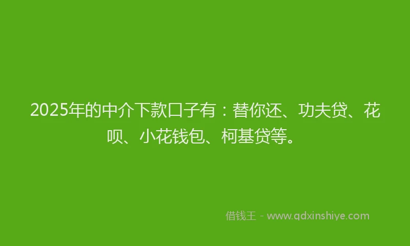 2025年的中介下款口子有：替你还、功夫贷、花呗、小花钱包、柯基贷等。