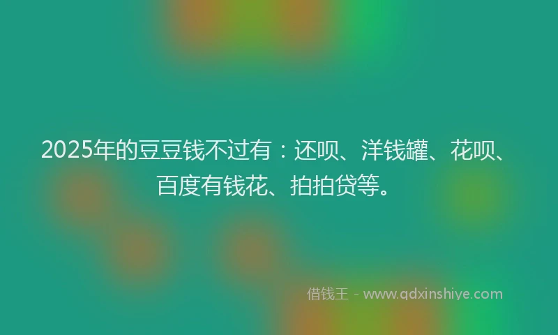 2025年的豆豆钱不过有：还呗、洋钱罐、花呗、百度有钱花、拍拍贷等。