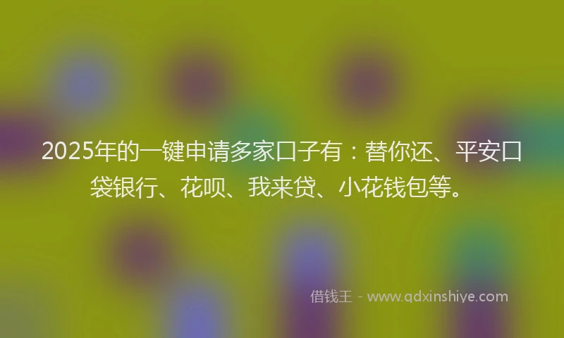 2025年的一键申请多家口子有：替你还、平安口袋银行、花呗、我来贷、小花钱包等。