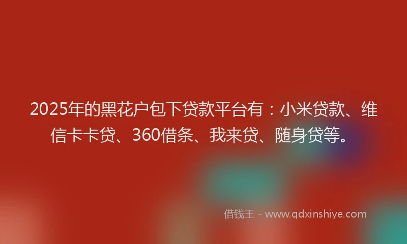 2025年的黑花户包下贷款平台有：小米贷款、维信卡卡贷、360借条、我来贷、随身贷等。