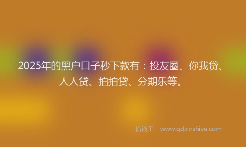 2025年的黑户口子秒下款有：投友圈、你我贷、人人贷、拍拍贷、分期乐等。