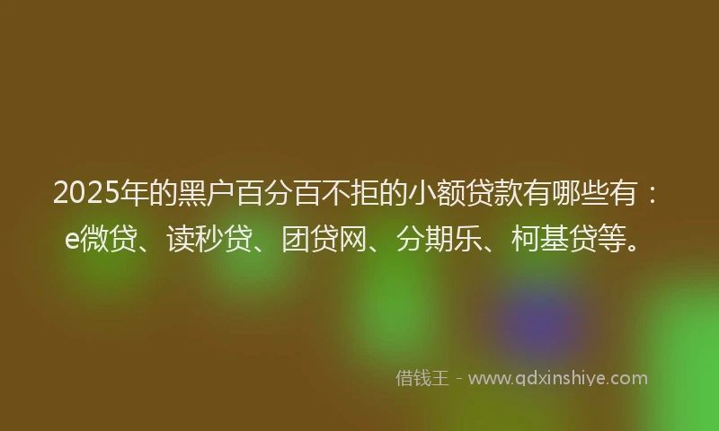 2025年的黑户百分百不拒的小额贷款有哪些有：e微贷、读秒贷、团贷网、分期乐、柯基贷等。